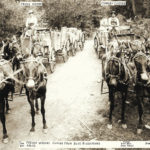 GOLD MINE FREIGHT c.1907