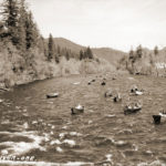 THE McKENZIE RIVER BOAT PARADE1950s