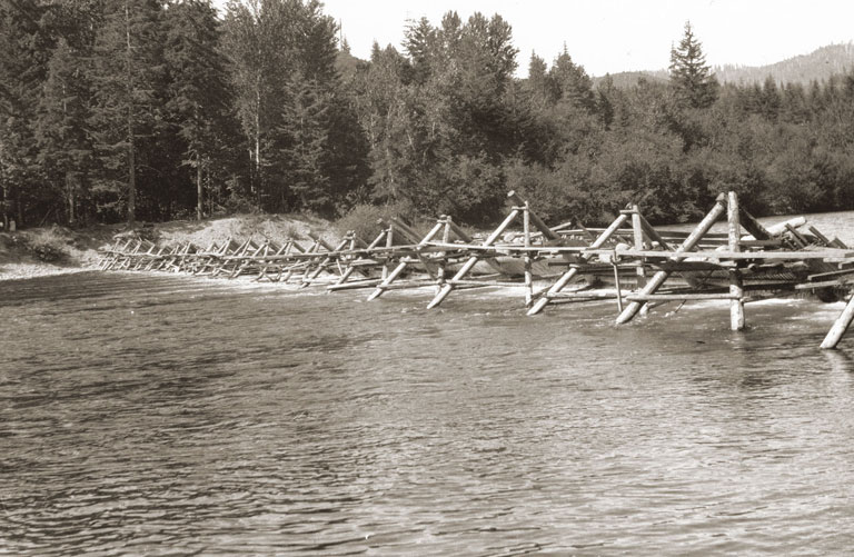 THE McKENZIE FISH RACKS c. 1930s