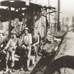 THE STEAM DONKEY c. 1906