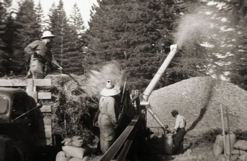 THRESHING c. 1925