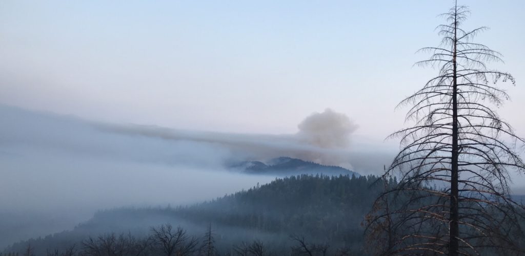 Willamette National Forest