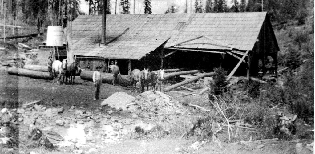 Chapman and Sons Sawmill