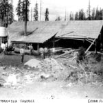 Chapman and Sons Sawmill
