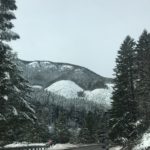 Snow Covered forest of McKenzie