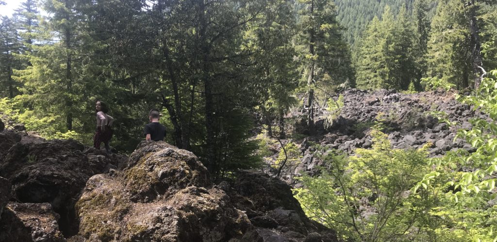 Proxy Falls Hike