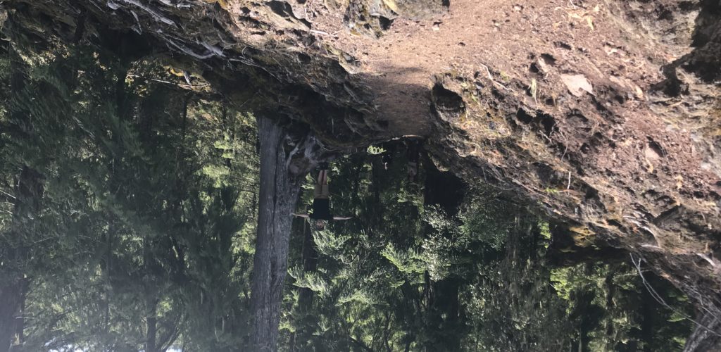 Lower Proxy Falls Hike